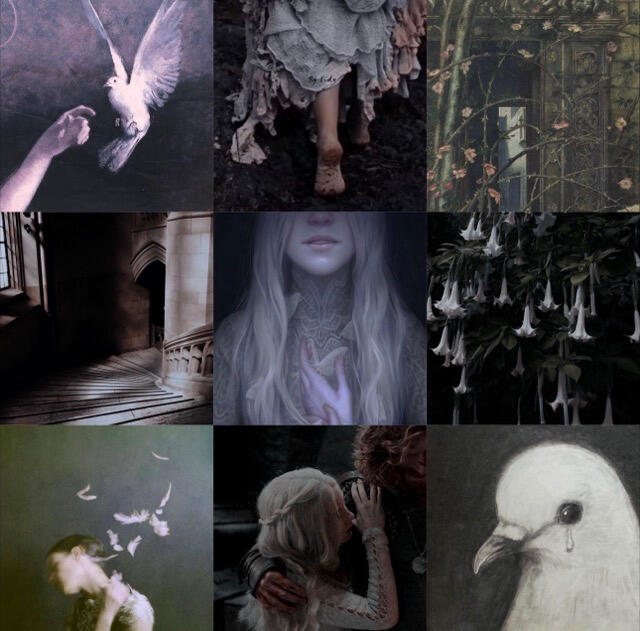 The Dove & The Fox